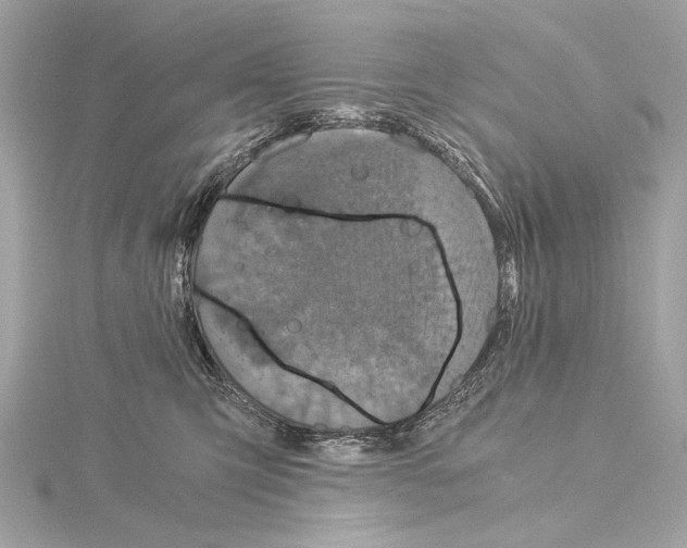 X0000115060423200912071155