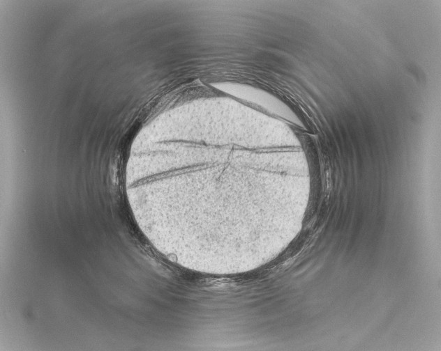 X0000115060424200912071155