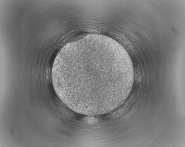 X0000115060425200912071155