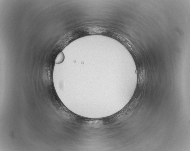 X0000115060426200912071155