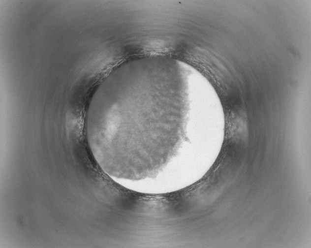 X0000115060427200912071155