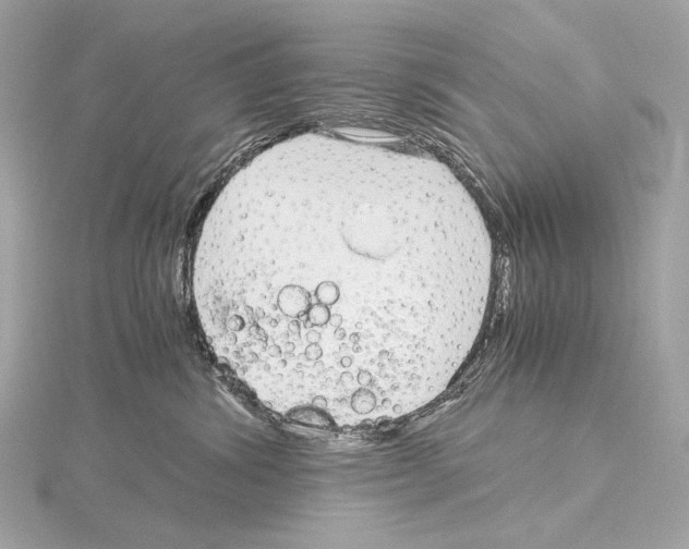 X0000115060428200912071155