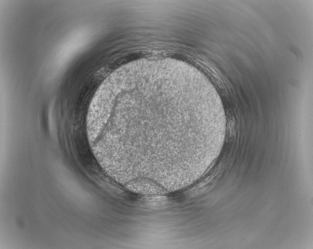 X0000115060429200912071155