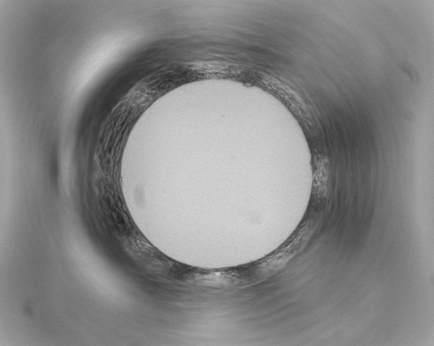 X0000115060430200912071155