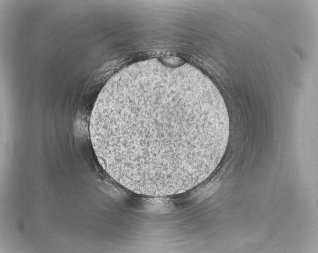 X0000115060432200912071155