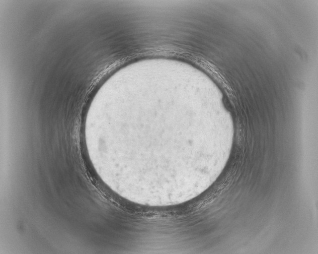 X0000115060434200912071154