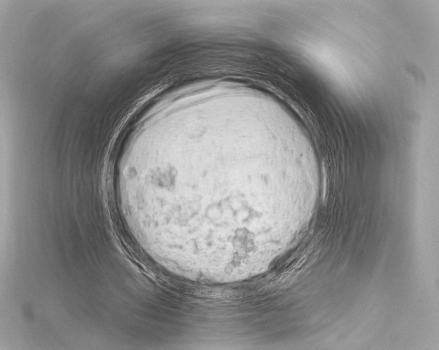 X0000115060435200912071154