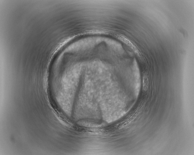 X0000115060436200912071154