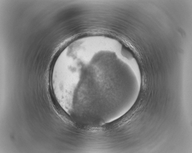 X0000115060438200912071154