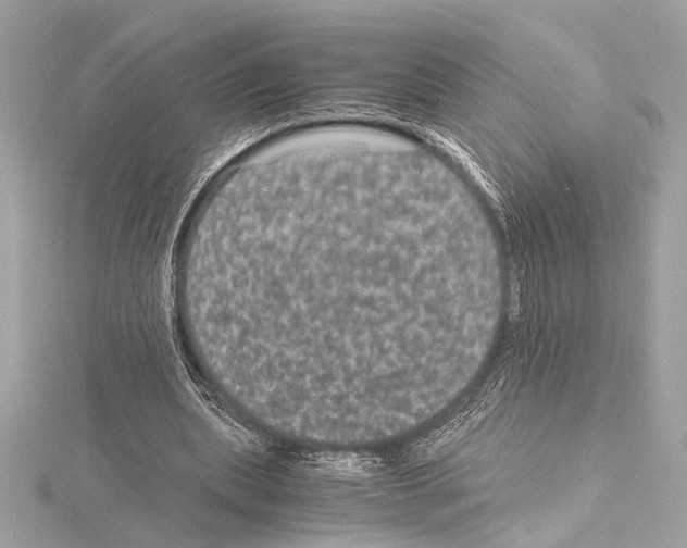 X0000115060439200912071154