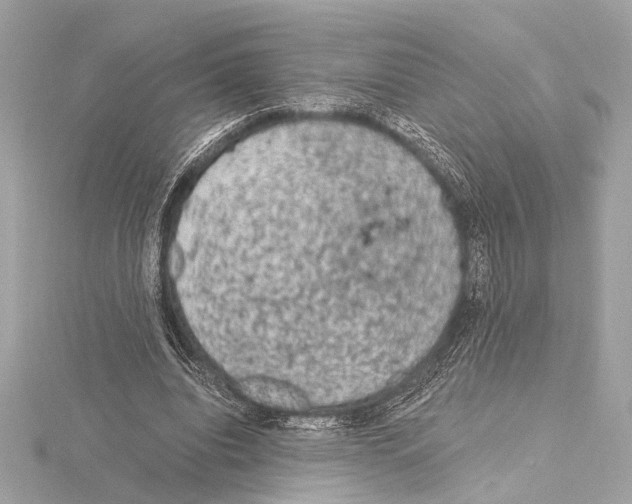 X0000115060440200912071154