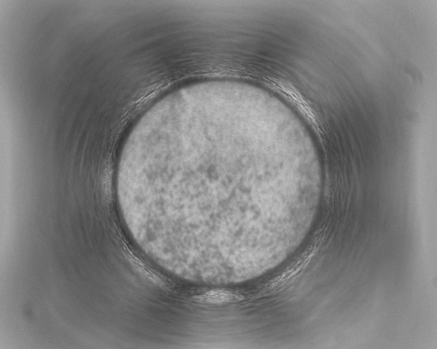 X0000115060441200912071154