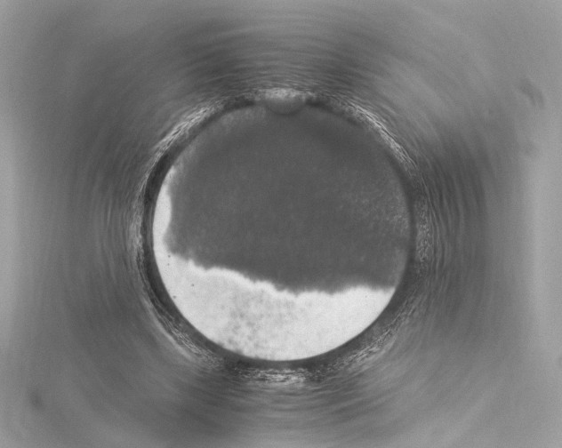 X0000115060443200912071154