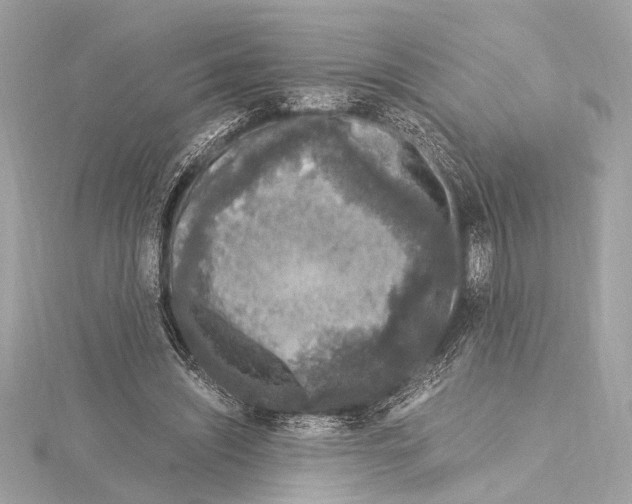 X0000115060444200912071154