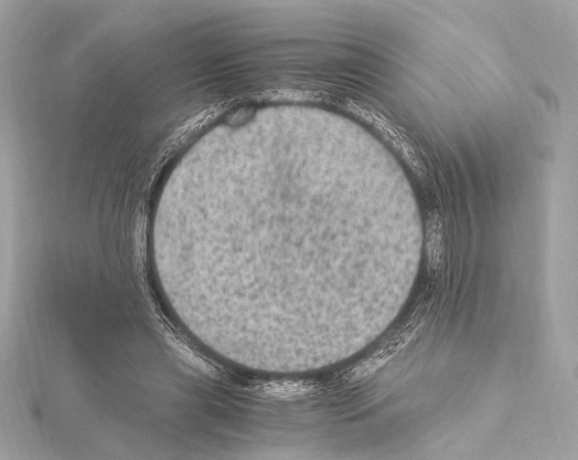 X0000115060445200912071154