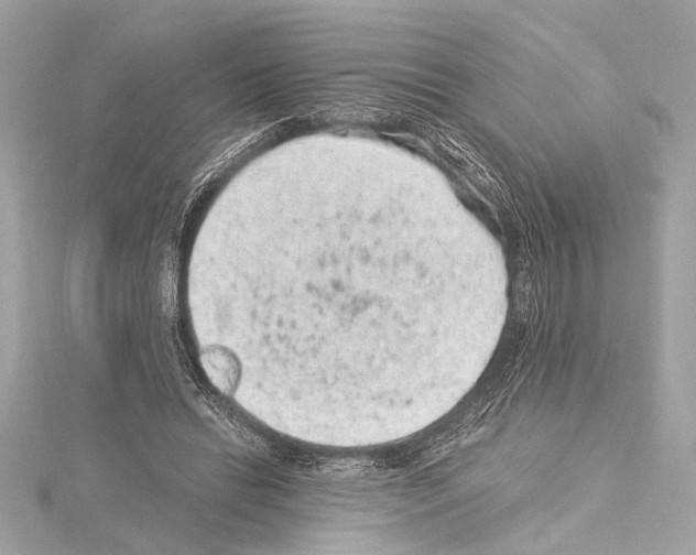 X0000115060446200912071154