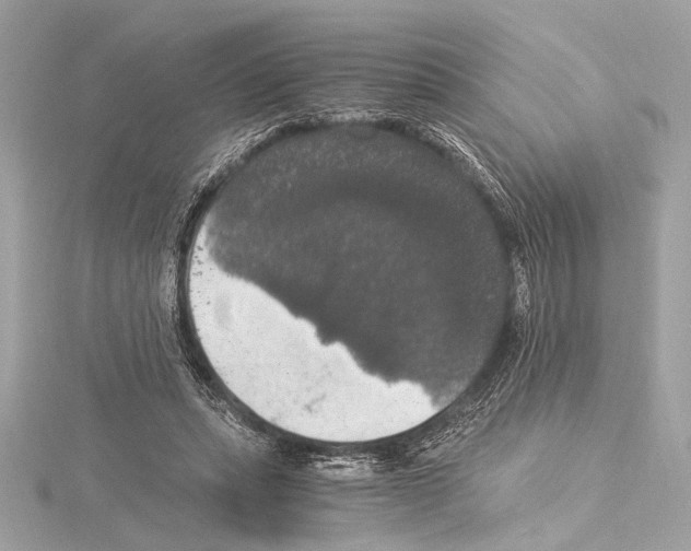 X0000115060447200912071154