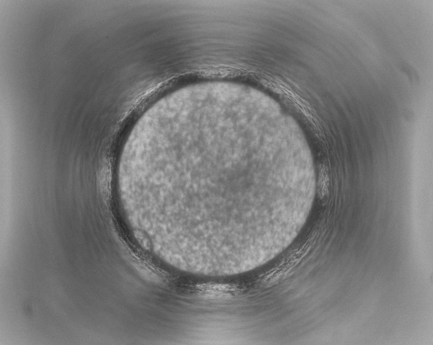 X0000115060448200912071154