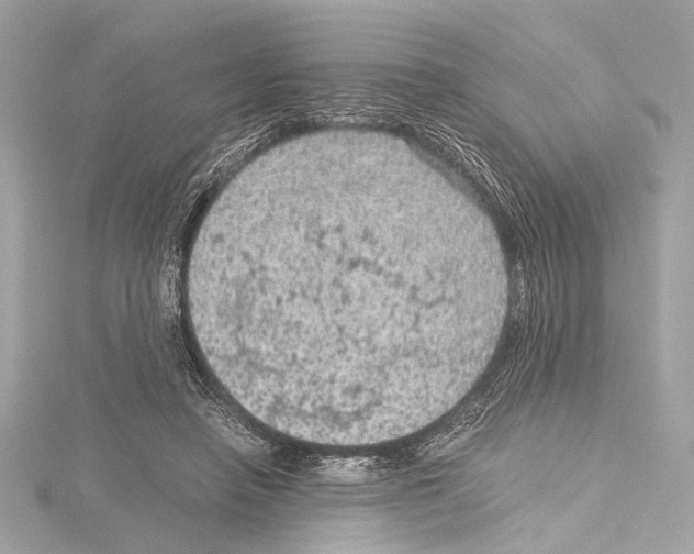 X0000115060450200912071154