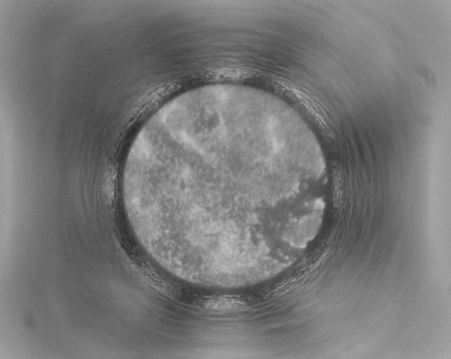 X0000115060451200912071154