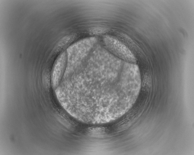 X0000115060452200912071154