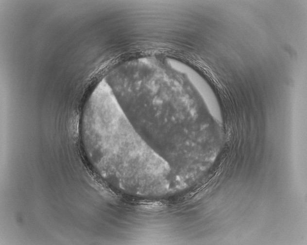 X0000115060454200912071154