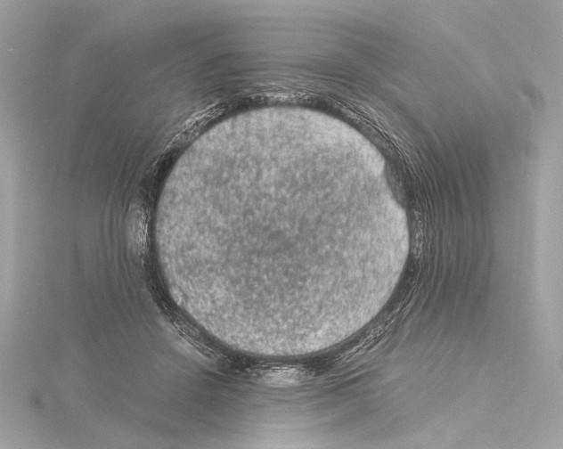 X0000115060456200912071154