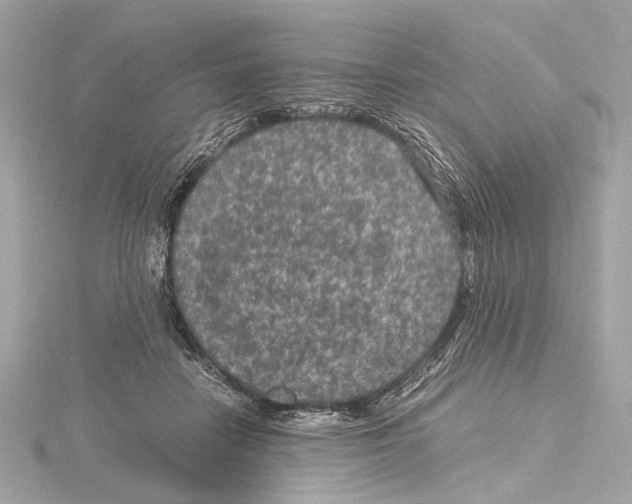 X0000115060458200912071154