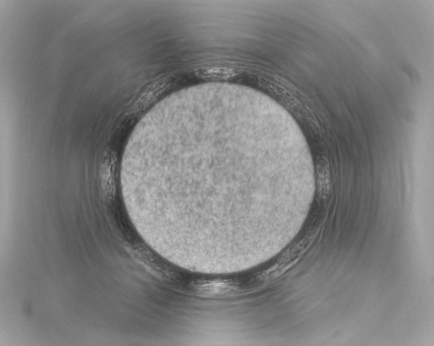 X0000115060460200912071154