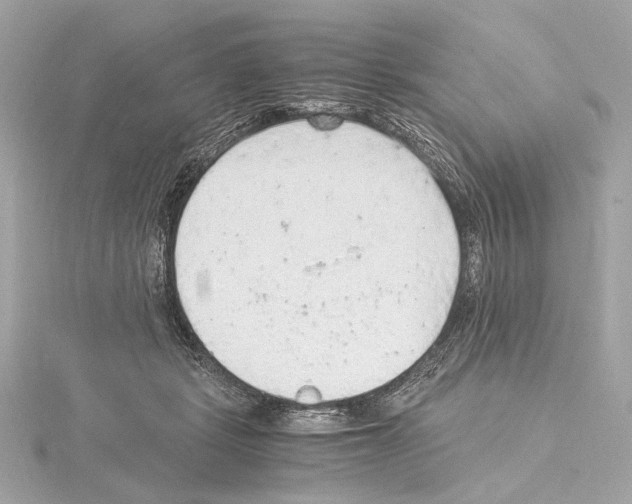 X0000115060461200912071154