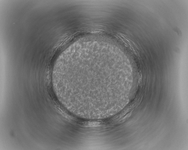 X0000115060462200912071154