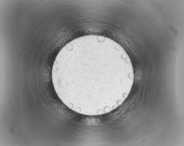 X0000115060464200912071155