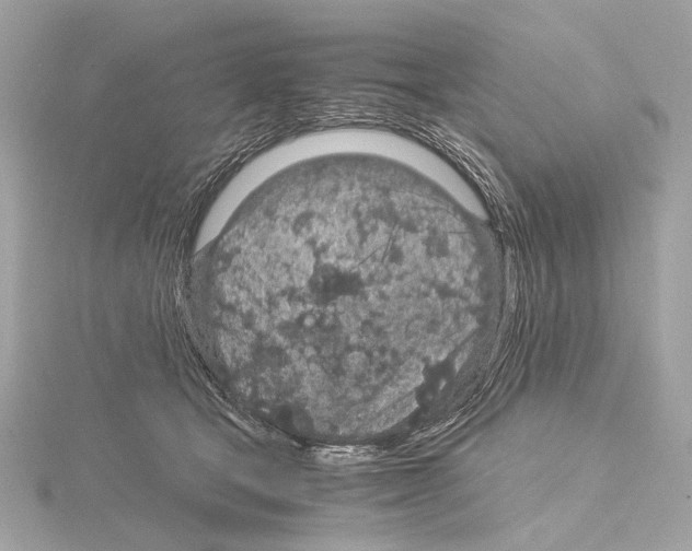 X0000115060465200912071155