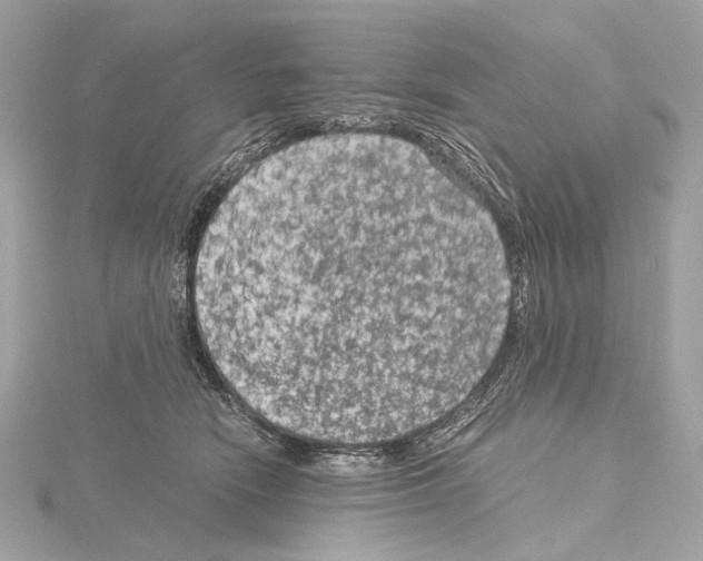 X0000115060466200912071155