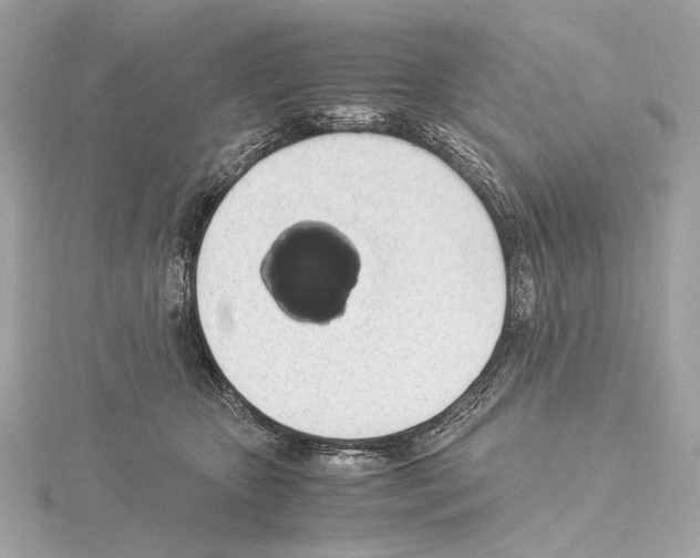 X0000115060467200912071155