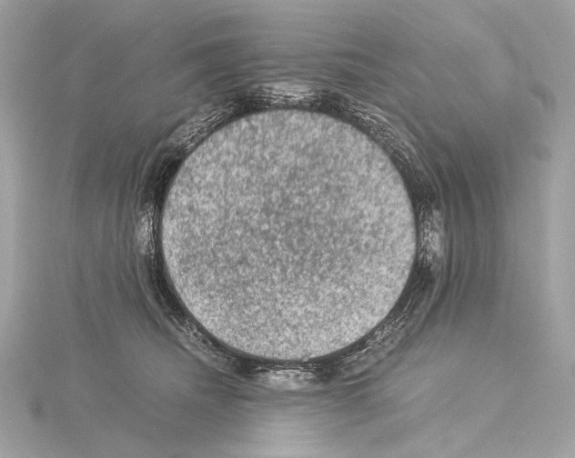 X0000115060468200912071155