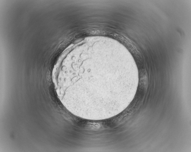 X0000115060469200912071155