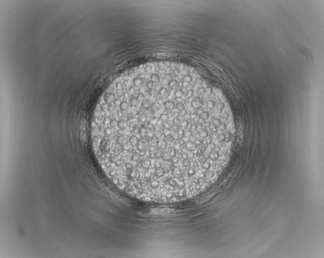 X0000115060470200912071155