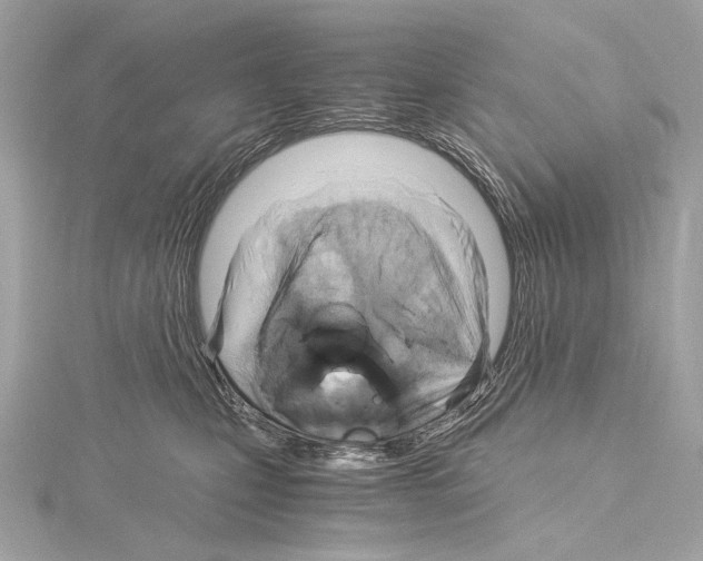 X0000115060471200912071155