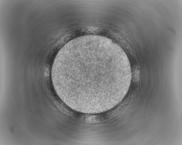 X0000115060472200912071155