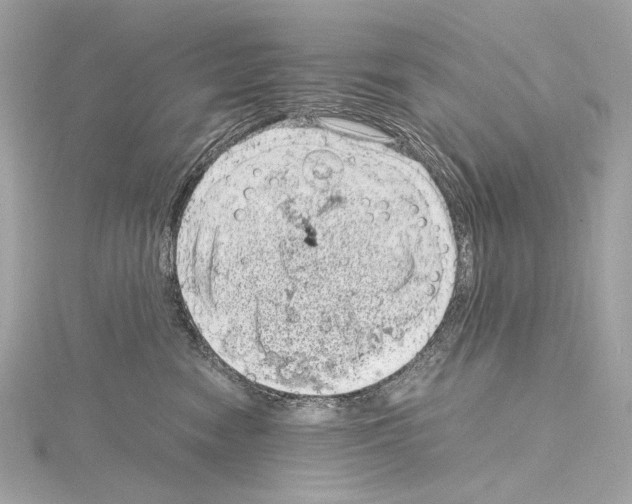 X0000115060474200912071155