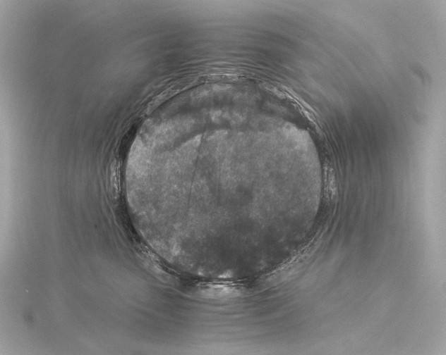 X0000115060475200912071155