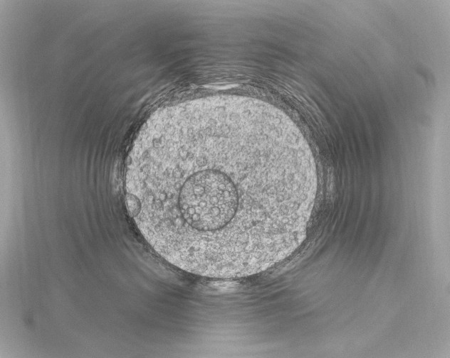 X0000115060478200912071155