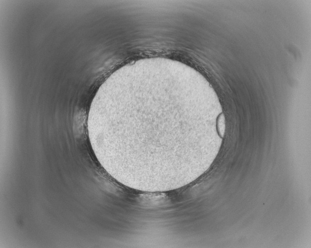 X0000115060480200912071155