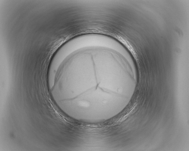 X0000115060481200912071154