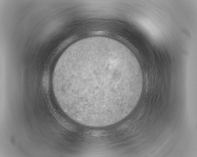 X0000115060482200912071154