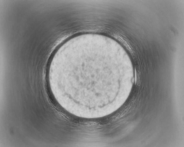 X0000115060483200912071154