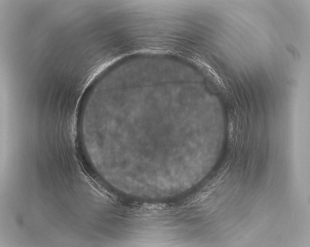 X0000115060484200912071154