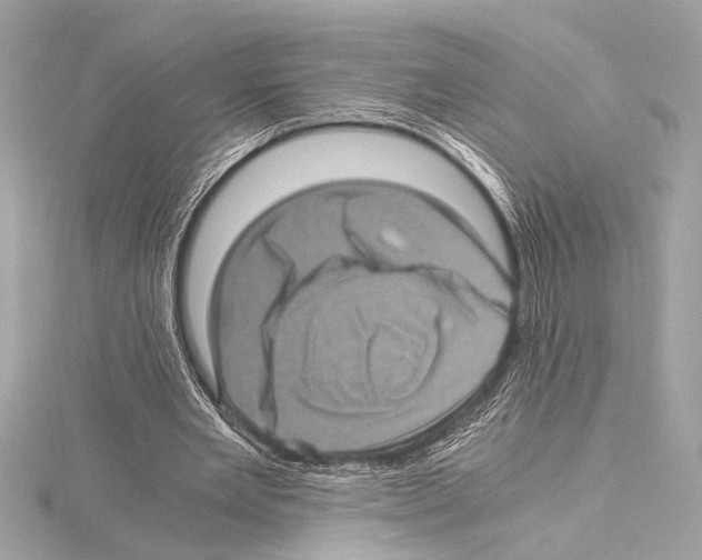 X0000115060485200912071154