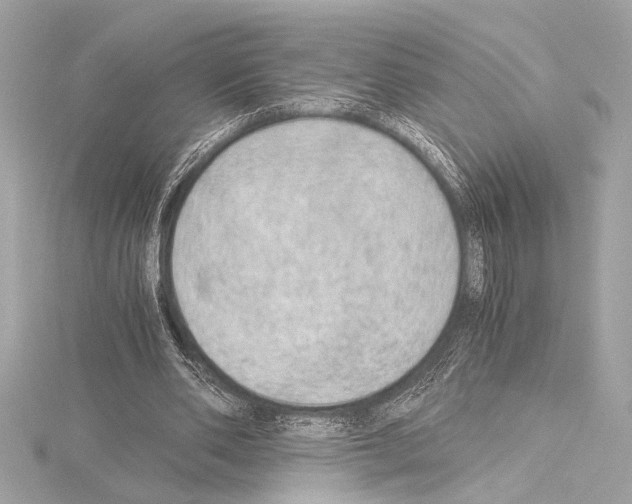 X0000115060486200912071154